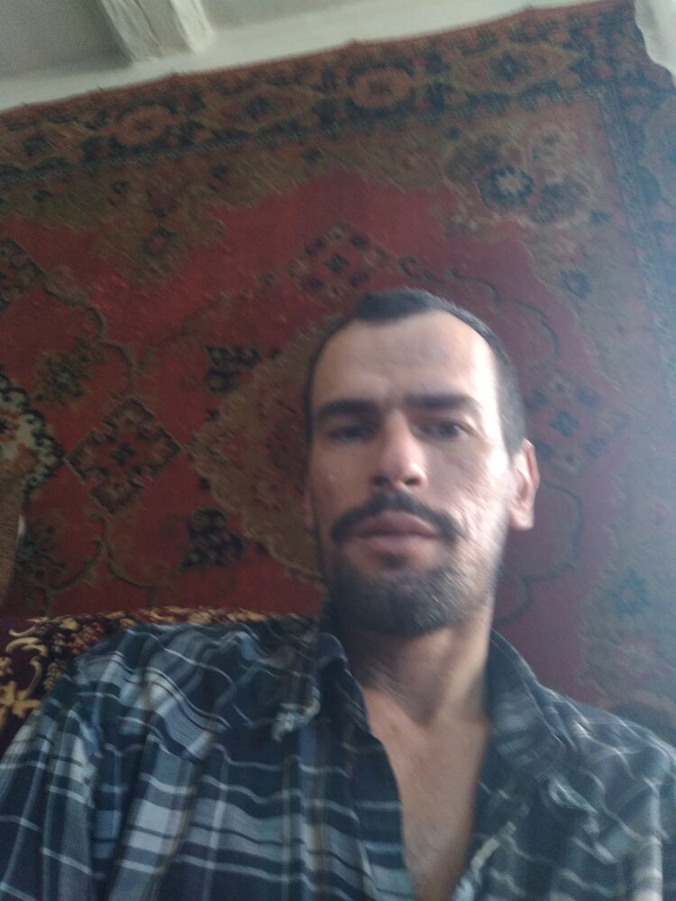  48253238  , 43 ,    