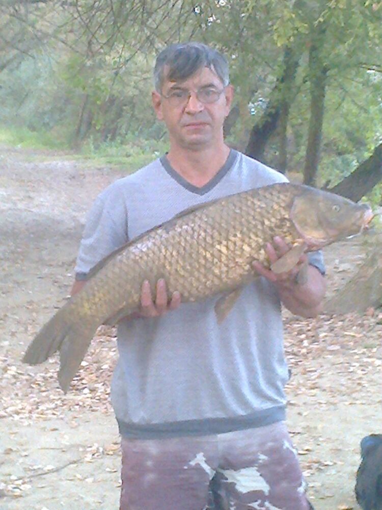 ���� 49822328 ������� �������, 53 ����, ���� ���������� � �������