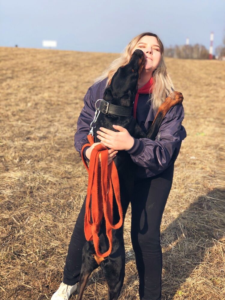 ���� 25848598 ������� ����, 25 ���, ���� ���������� � ������