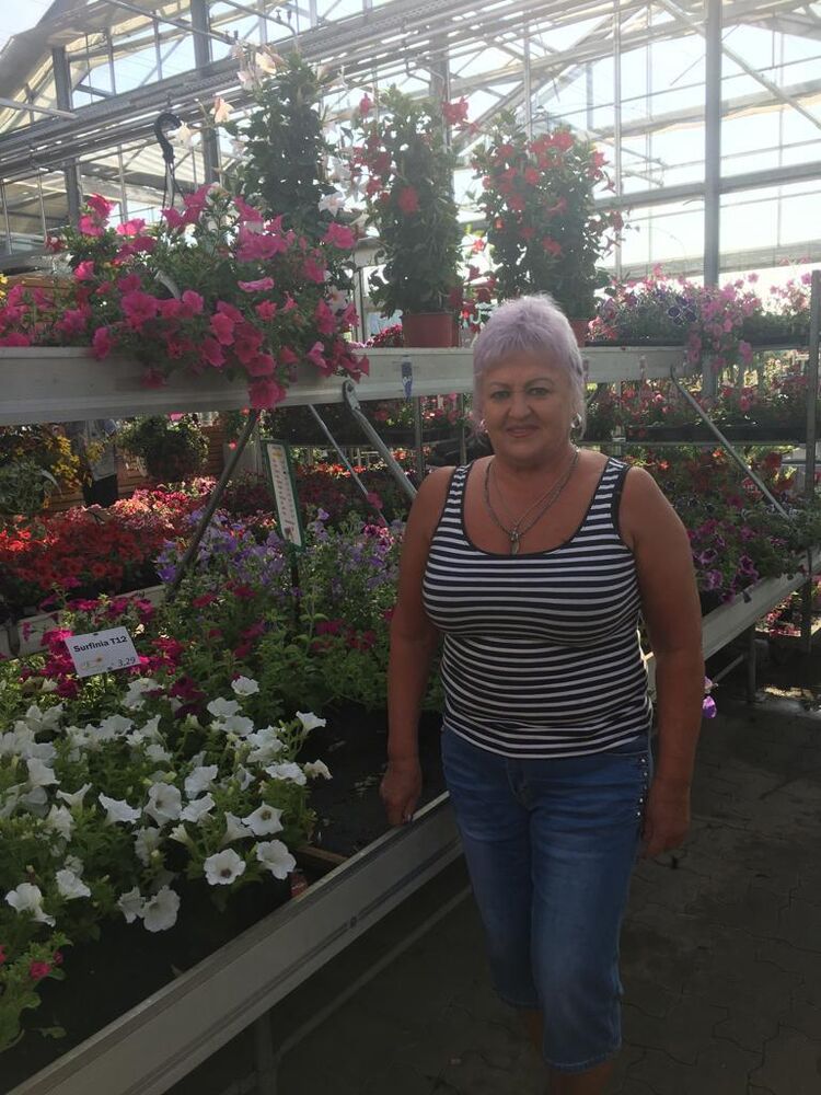 ���������� ��������������, ���� ������� �����, 70 ���, ������������ ��� c�������� ���������