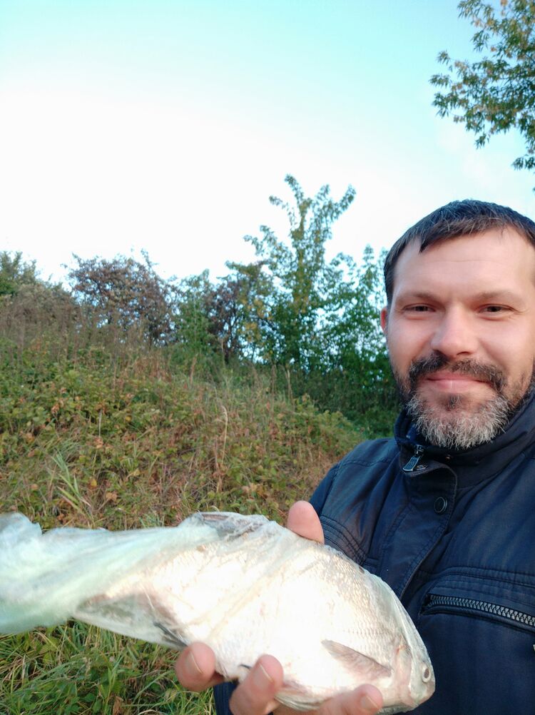  33201648  Klivion, 41 ,    