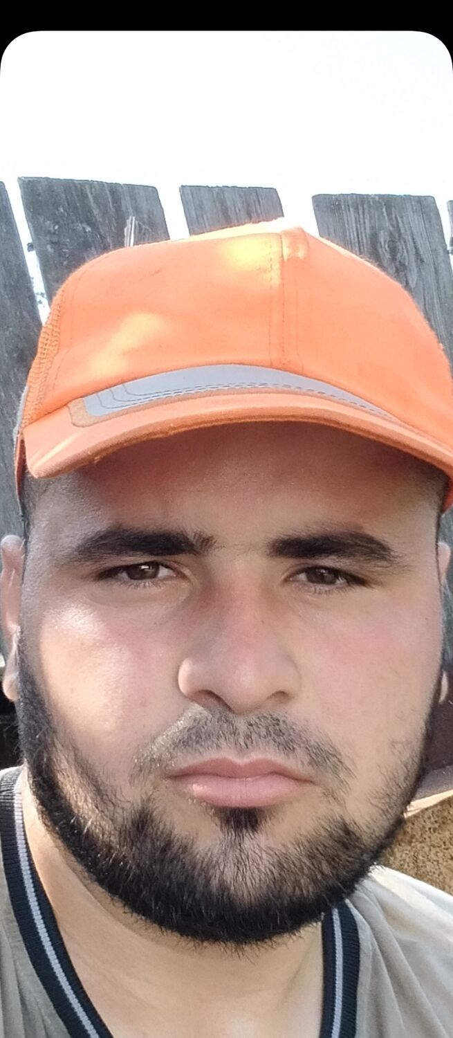  46250208  , 25 ,    