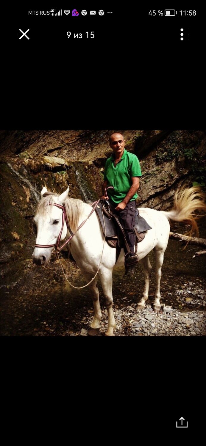 ���������� ������, ���� ������� ����� ���, 51 ���, ������������ ��� ������, ����� � ���������, c�������� ���������