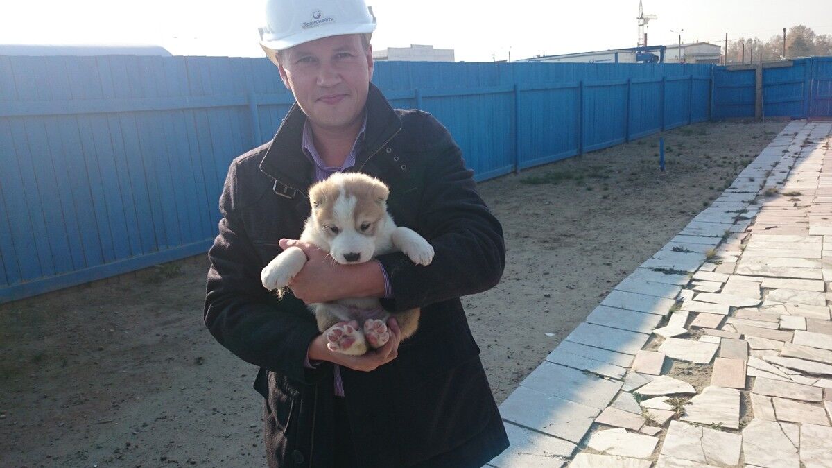 ���������� �������, ���� ������� �������, 49 ���, ������������ ��� ������, ����� � ���������, c�������� ���������