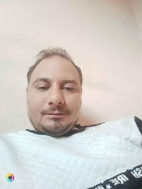  33780148  Elkady, 40 ,    