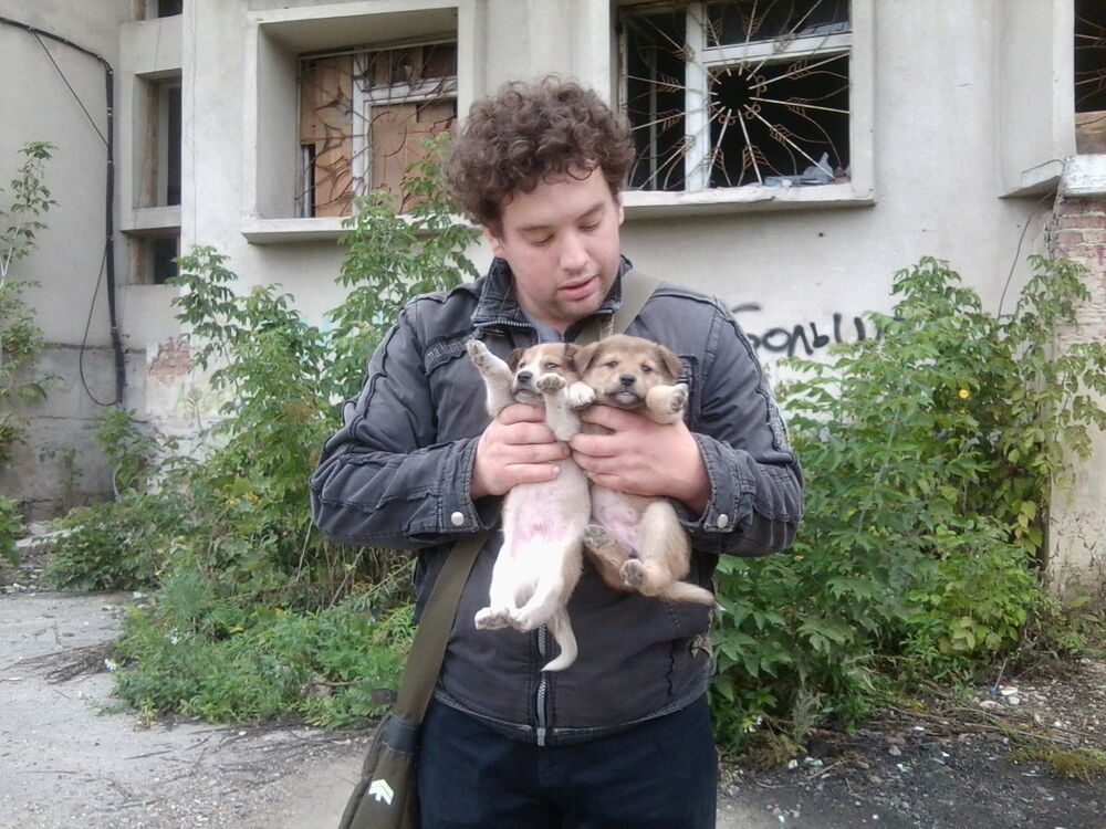 ���� 7416988 ������� �������, 31 ���, ���� ���������� � ����