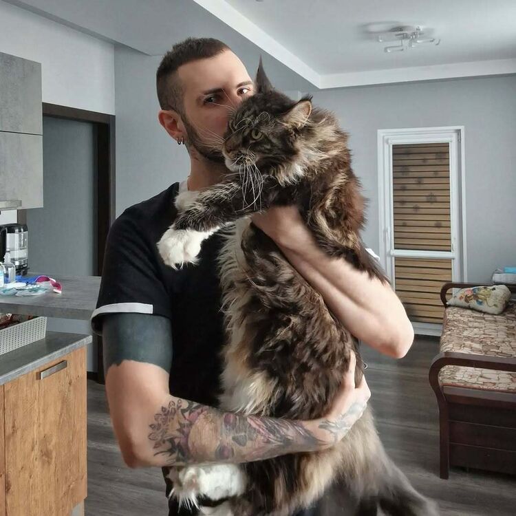 ���������� ������������, ���� ������� �������, 35 ���, ������������ ��� ����� � ���������, c�������� ���������, ���������