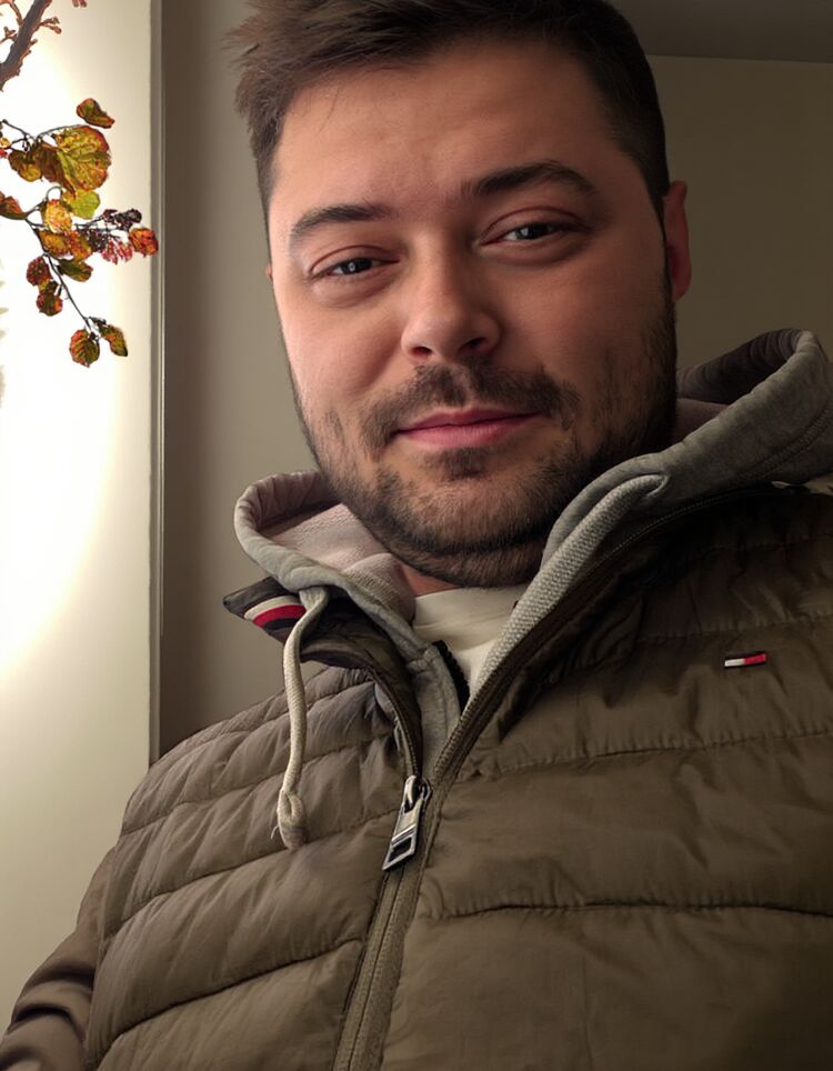 ���� 50031408 ������� �������, 33 ����, ���� ���������� � ������