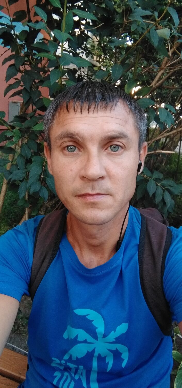  38486318  , 41 ,    