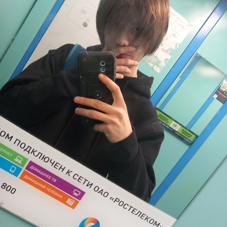  43811978  Die, 22 ,    -