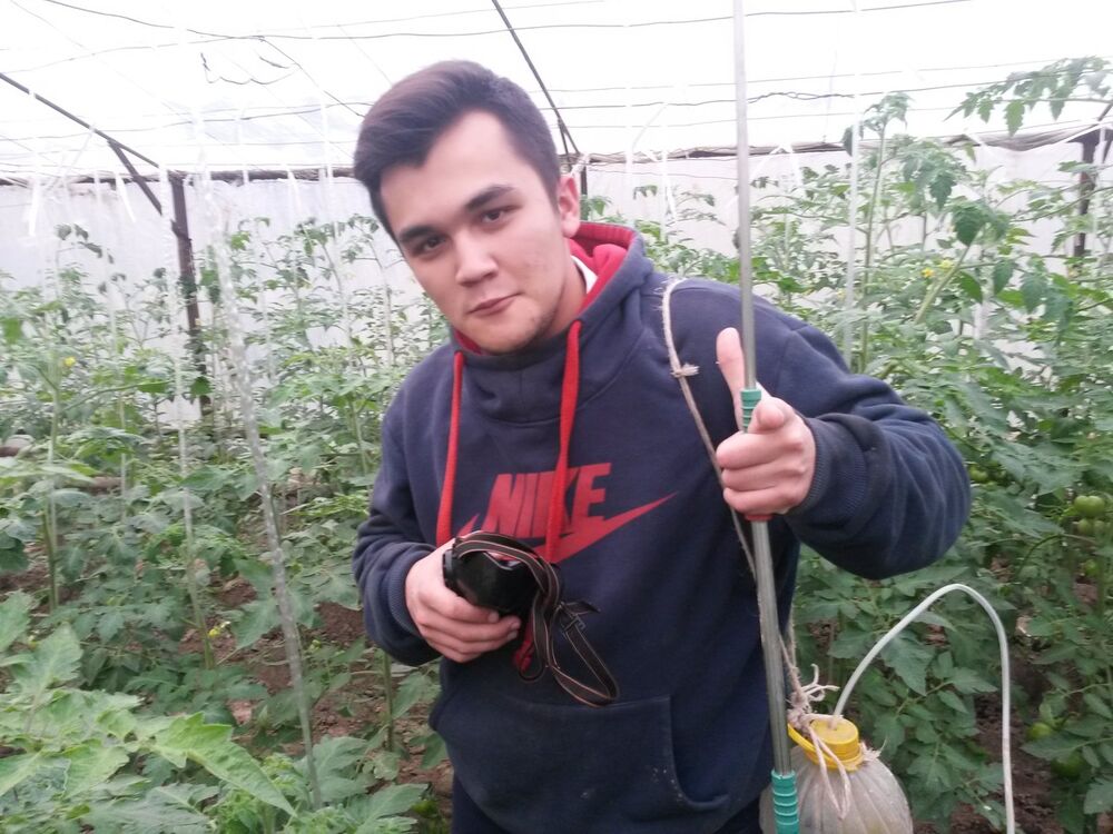 ���������� �������, ���� ������� ���������, 30 ���, ������������ ��� ����� � ���������, c�������� ���������