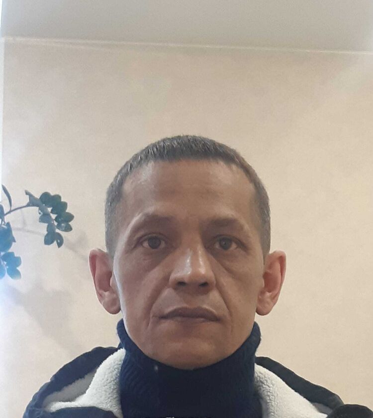  53833178  , 48 ,    