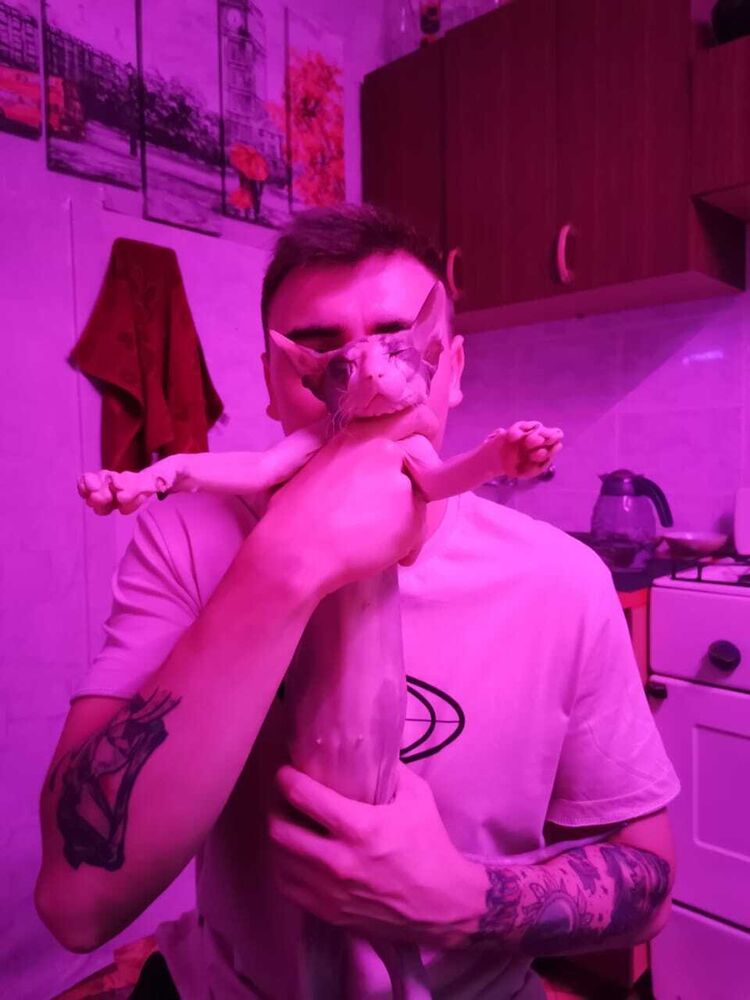  ,   , 31 ,   ,   , 