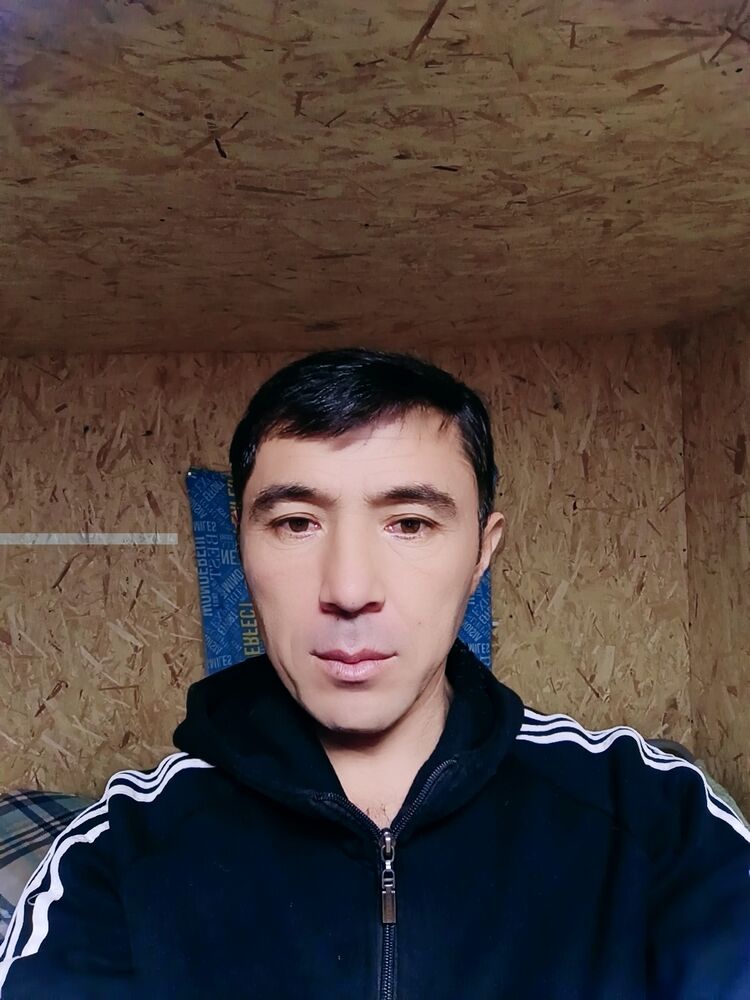  53586308  , 42 ,    