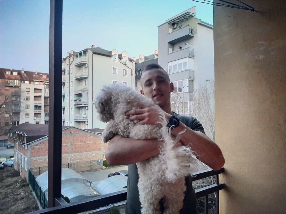  ,   Nemanja, 29 ,   ,   , c 