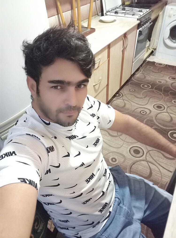  53122578  , 33 ,    