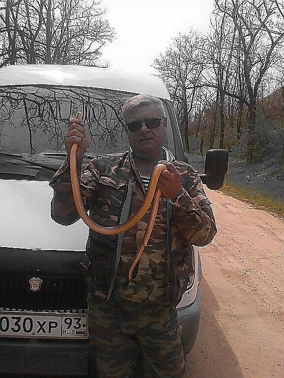 ���������� ���������, ���� ������� ����, 61 ���, ������������ ��� ������