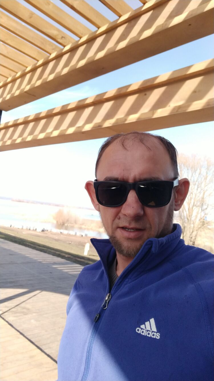  33811848  , 41 ,    