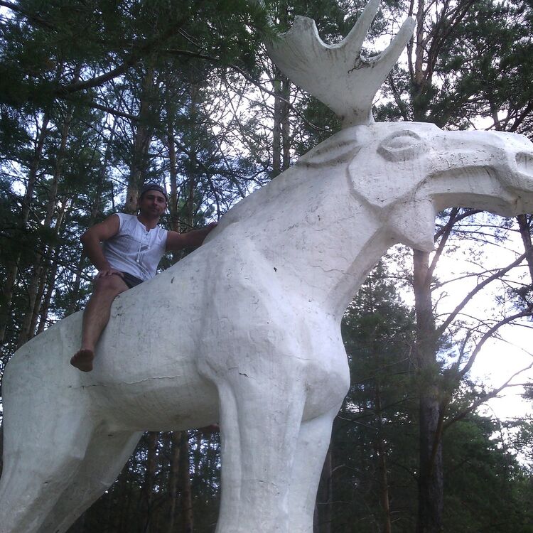 ���� 6440678 ������� ��������, 44 ����, ���� ���������� � �������������