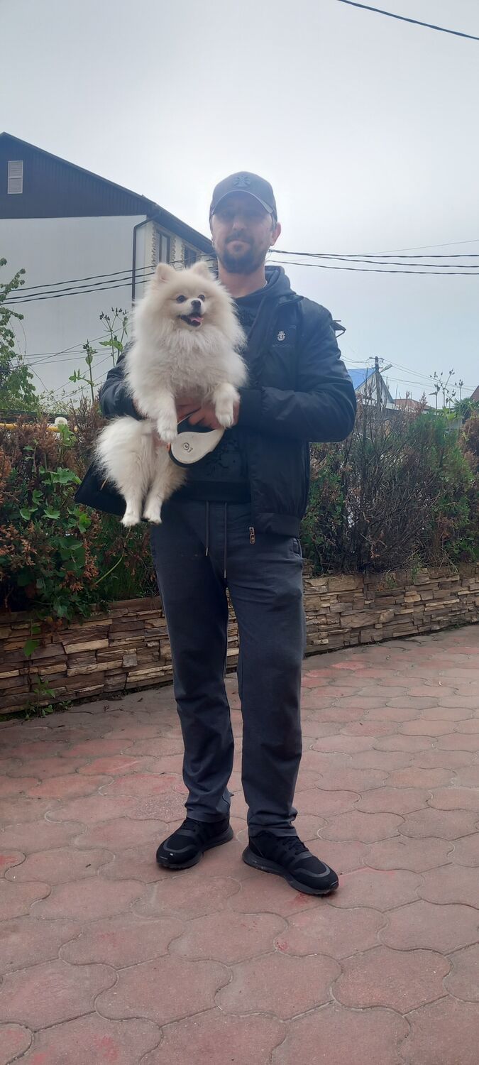 ���������� ����, ���� ������� ����, 40 ���, ������������ ��� ������, ����� � ���������