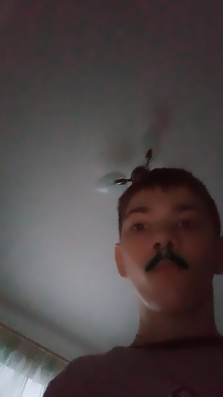  34077668  , 20 ,    