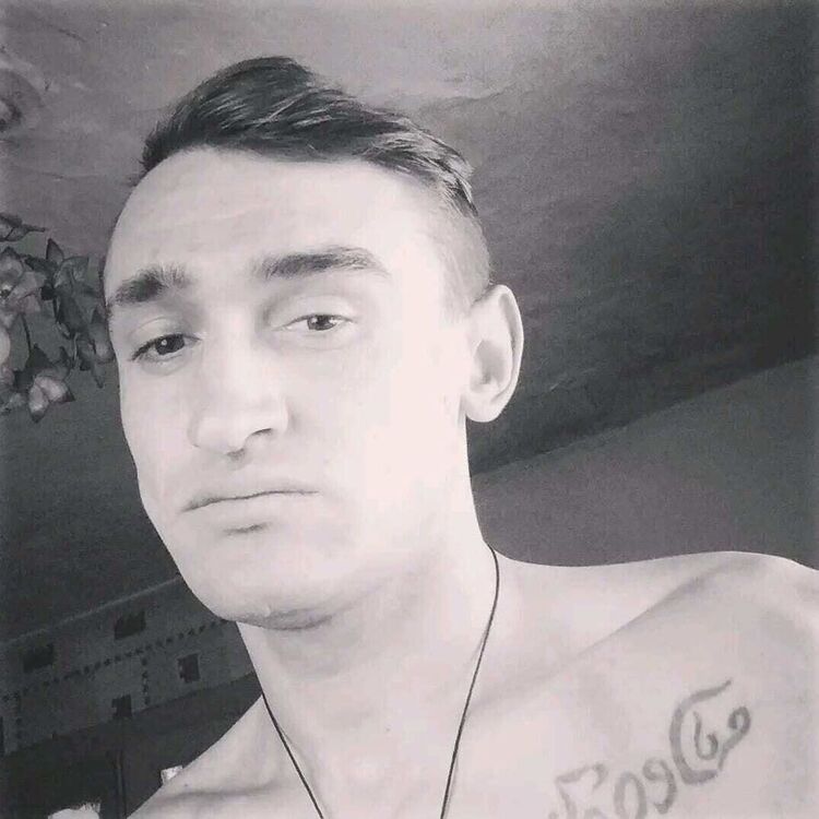  33635168  , 33 ,    