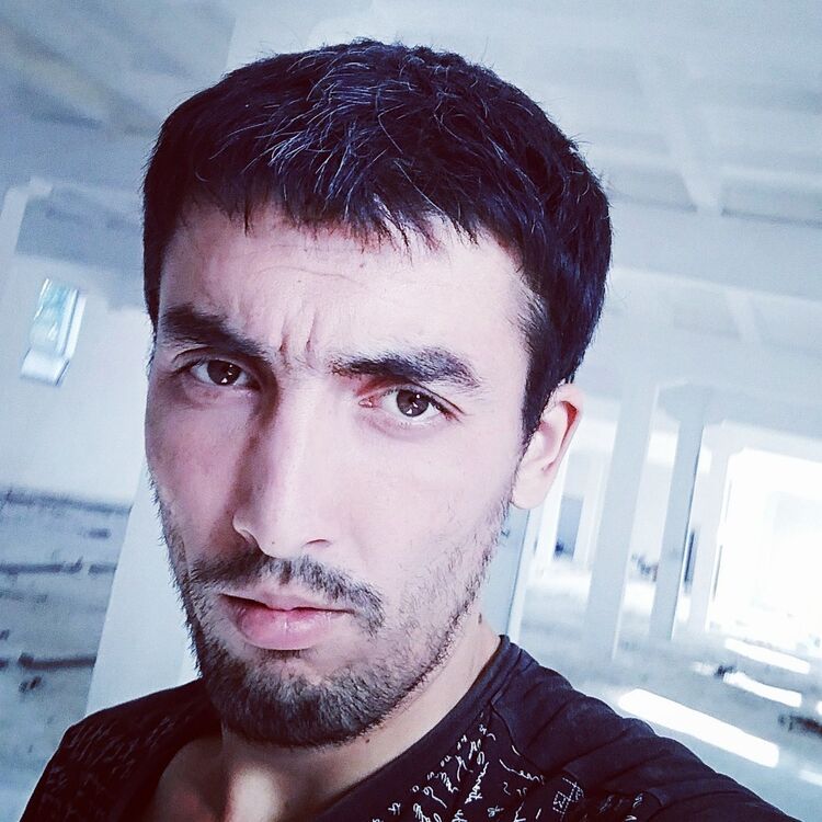 ���������� �������, ���� ������� Sardor, 40 ���, ������������ ��� ������, ����� � ���������, c�������� ���������