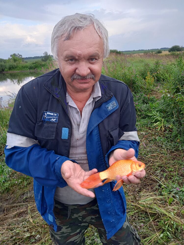 ���������� �������, ���� ������� ����, 64 ����, ������������ ��� ������, ����� � ���������, ���������