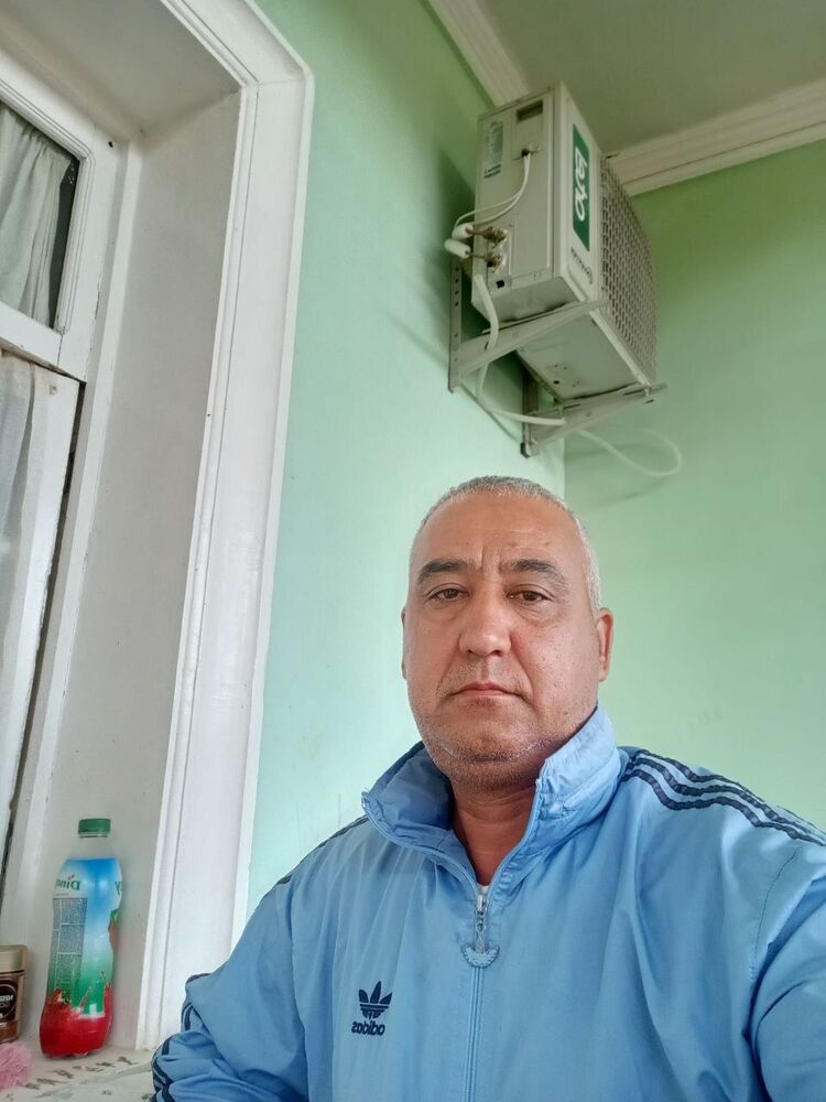  43855618  , 51 ,    
