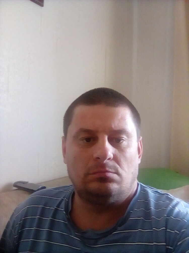  13136478  , 50 ,    