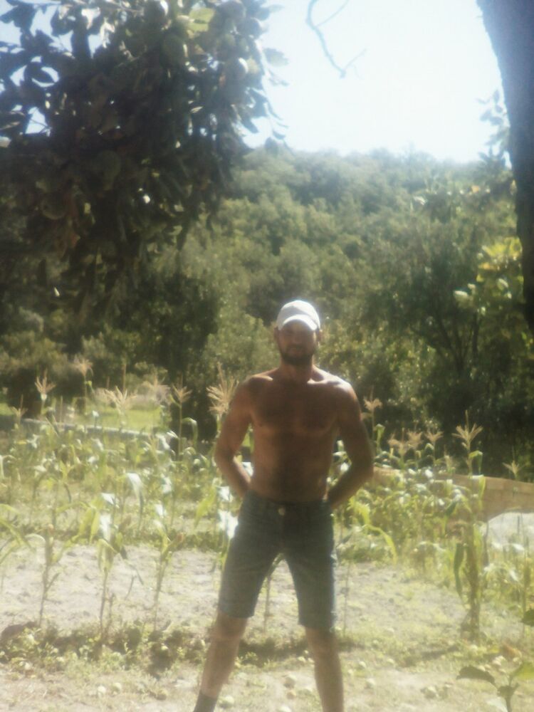  ,   , 44 ,   