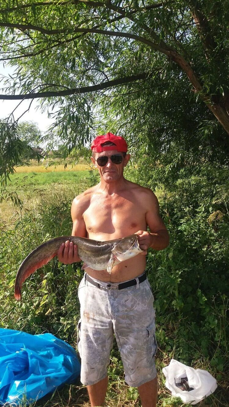 ���� 52293598 ������� ������, 50 ���, ���� ���������� � �����������