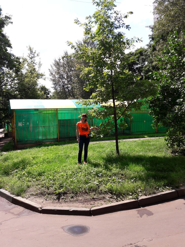  -,   , 51 ,   ,   , c 