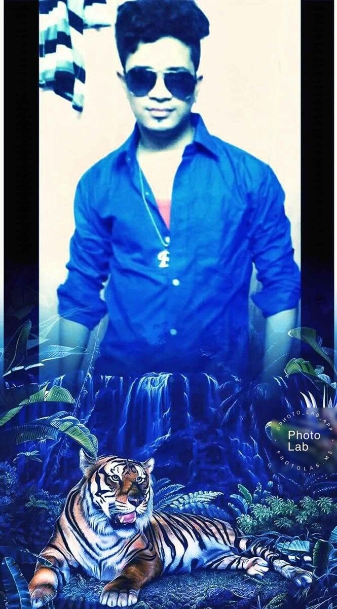  18806678  BAPI, 31 ,    ?