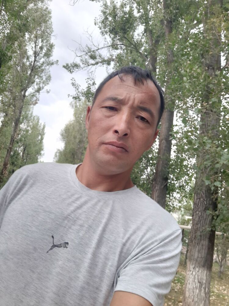  45856248  , 44 ,    