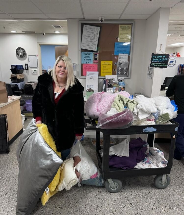 ���������� Frankfurt am Main, ���� ������� Avira, 40 ���, ������������ ��� ������, ����� � ���������