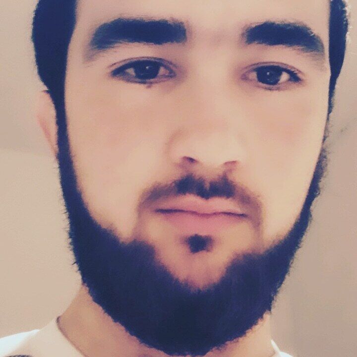  24657488  , 23 ,    