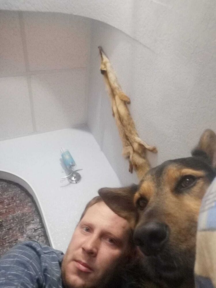 ���������� ���, ���� ������� ����, 41 ���, ������������ ��� ������, ����� � ���������