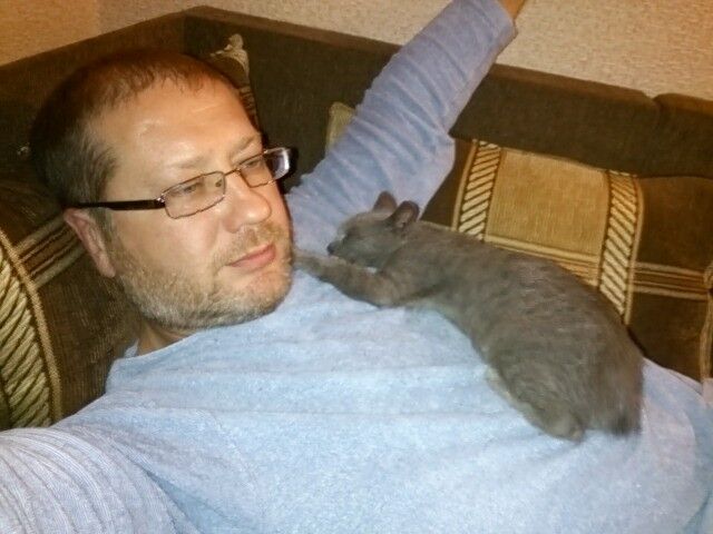 ���� 8027458 ������� ����, 54 ����, ���� ���������� � ������