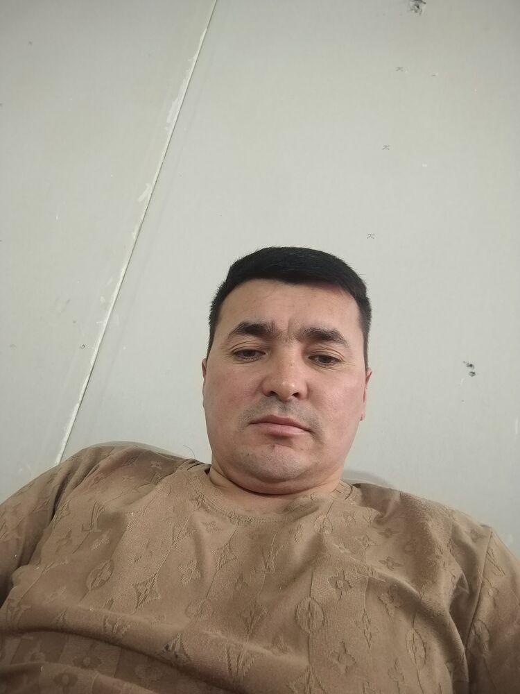  51512699  , 36 ,    