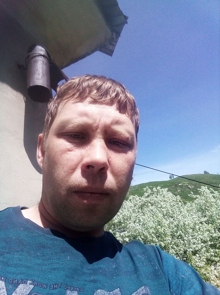  43340708  , 38 ,    