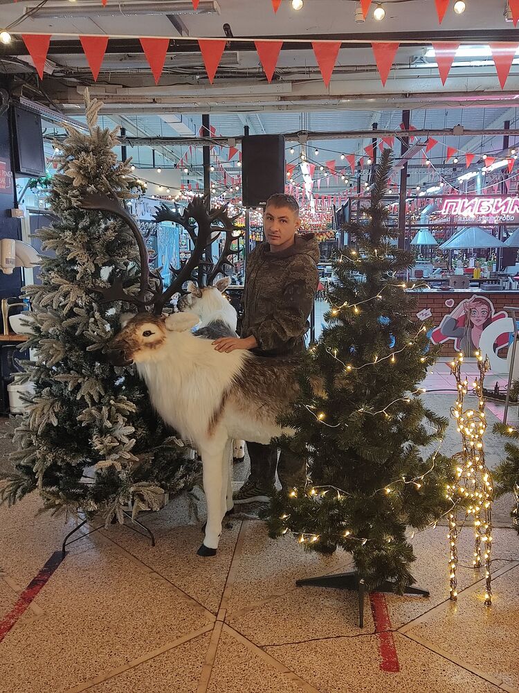 ���� 31479358 ������� ���������, 36 ���, ���� ���������� � ������