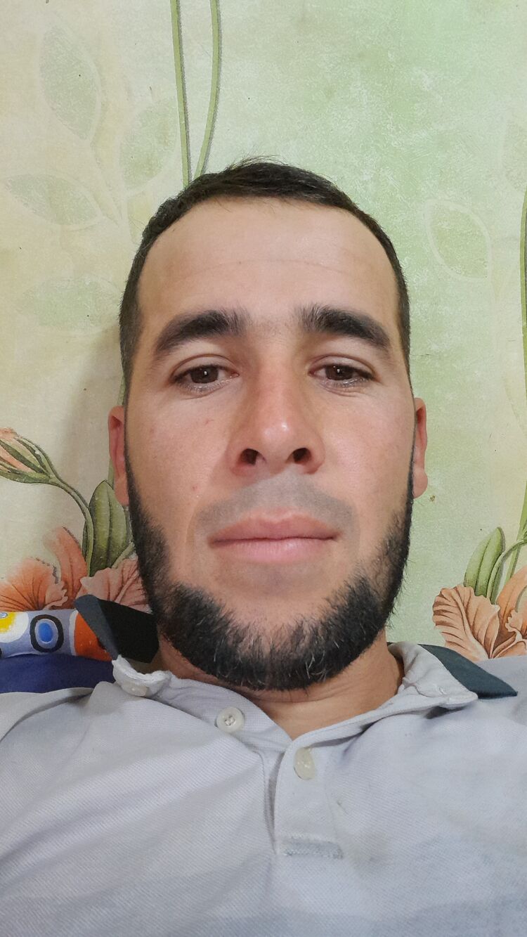 45391978  , 31 ,    