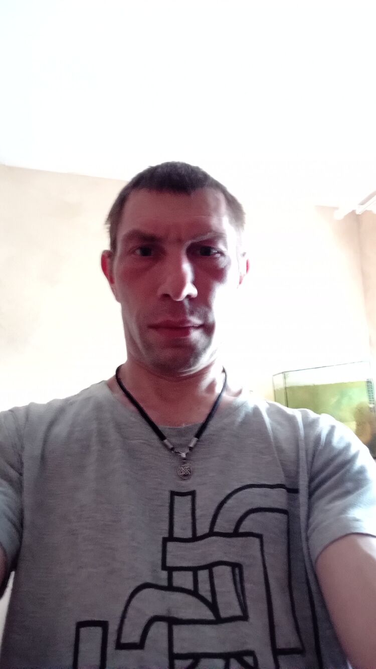 ���� 42086508 ������� �������, 42 ����, ���� ���������� � �������