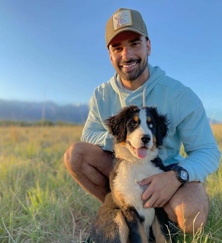 ���� 51933248 ������� ������, 38 ���, ���� ���������� � ����������