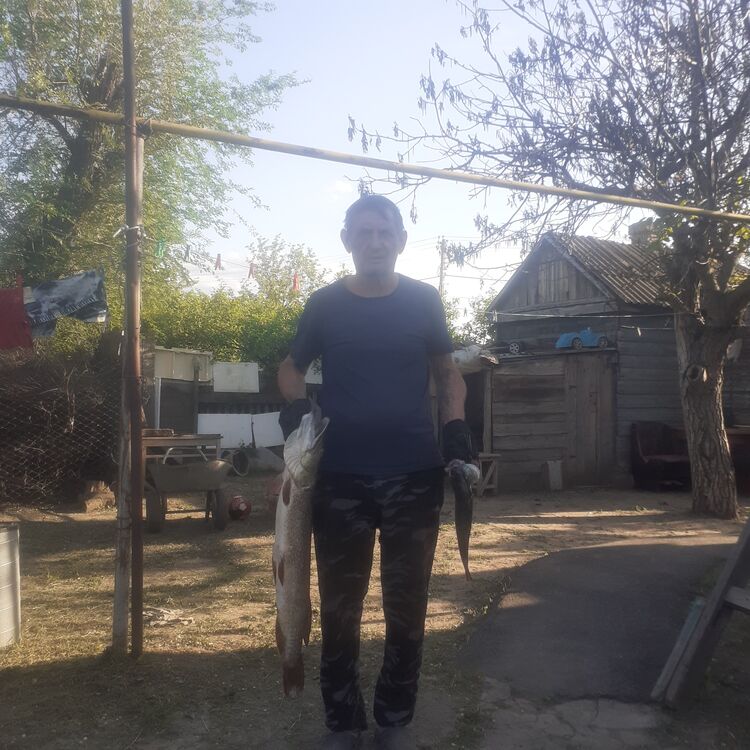 ,   , 59 ,     , c 