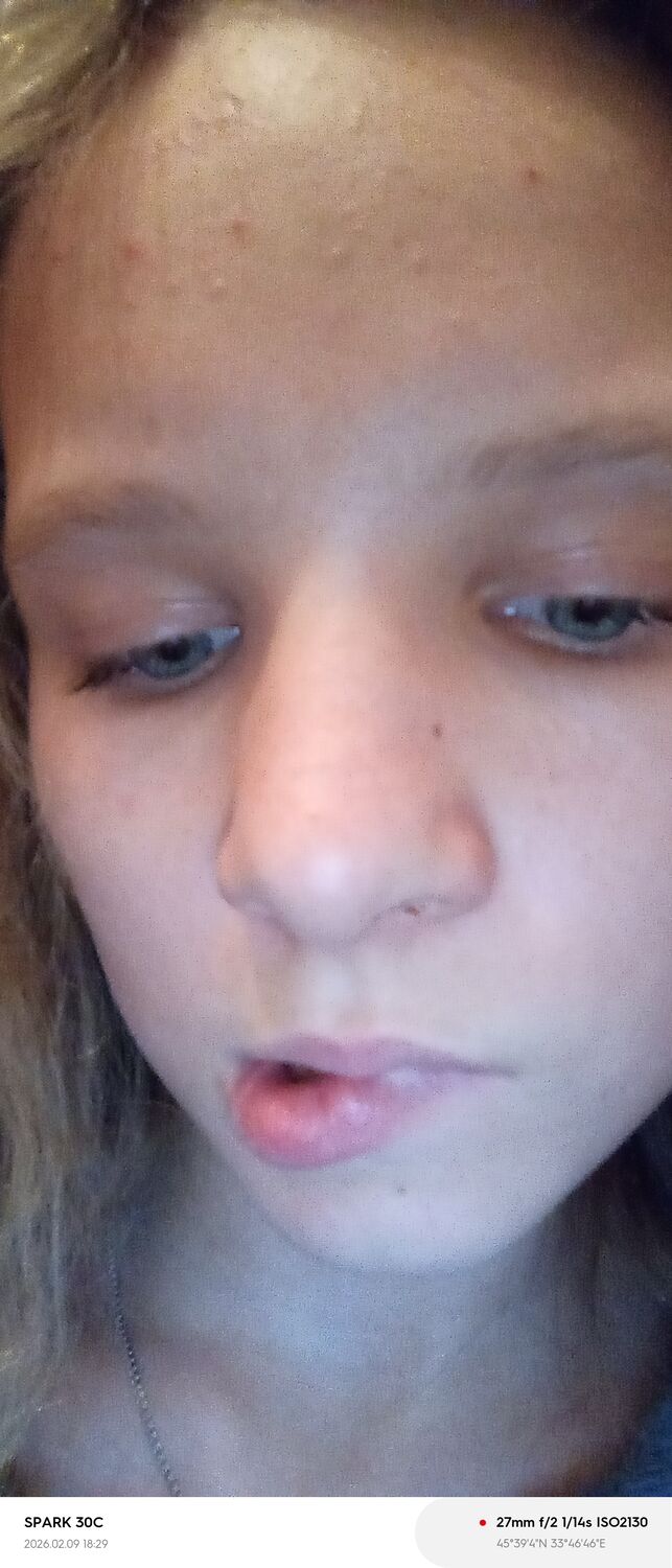 ���� 55588348 ������� ������, 18 ���, ���� ���������� � ������������