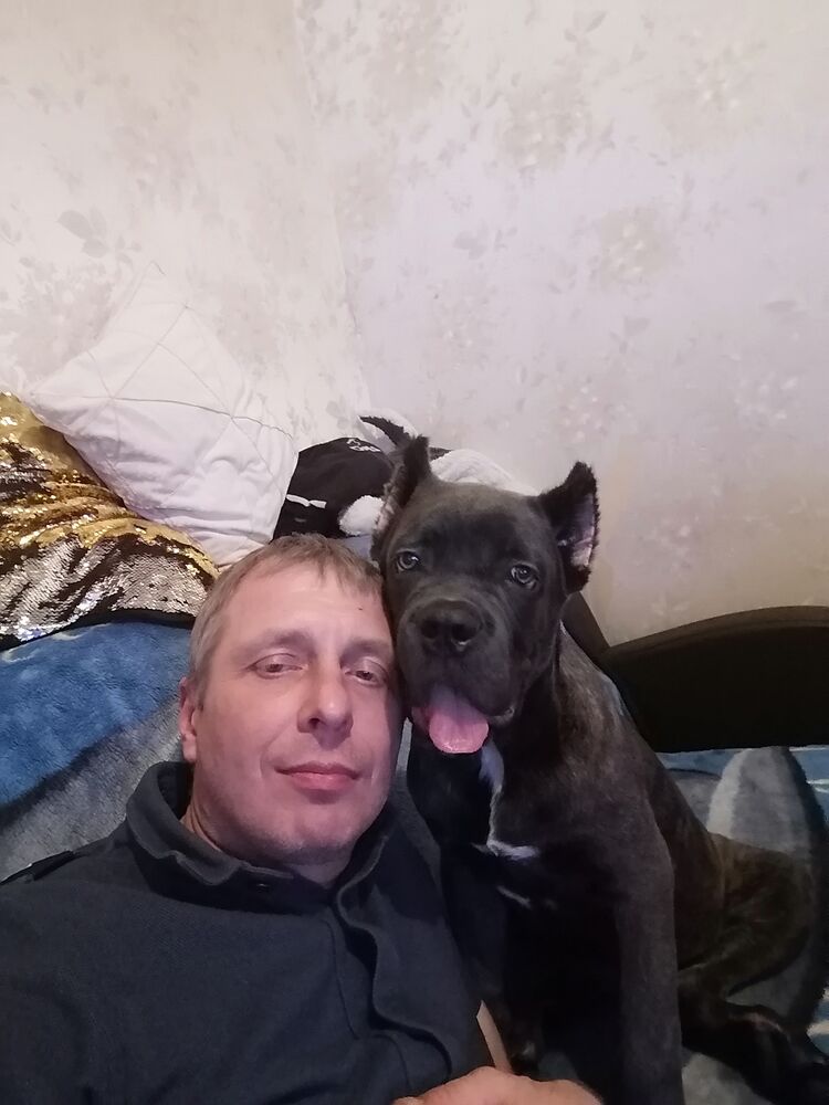 ���������� ������, ���� ������� ���������, 47 ���, ������������ ��� ������, ����� � ���������