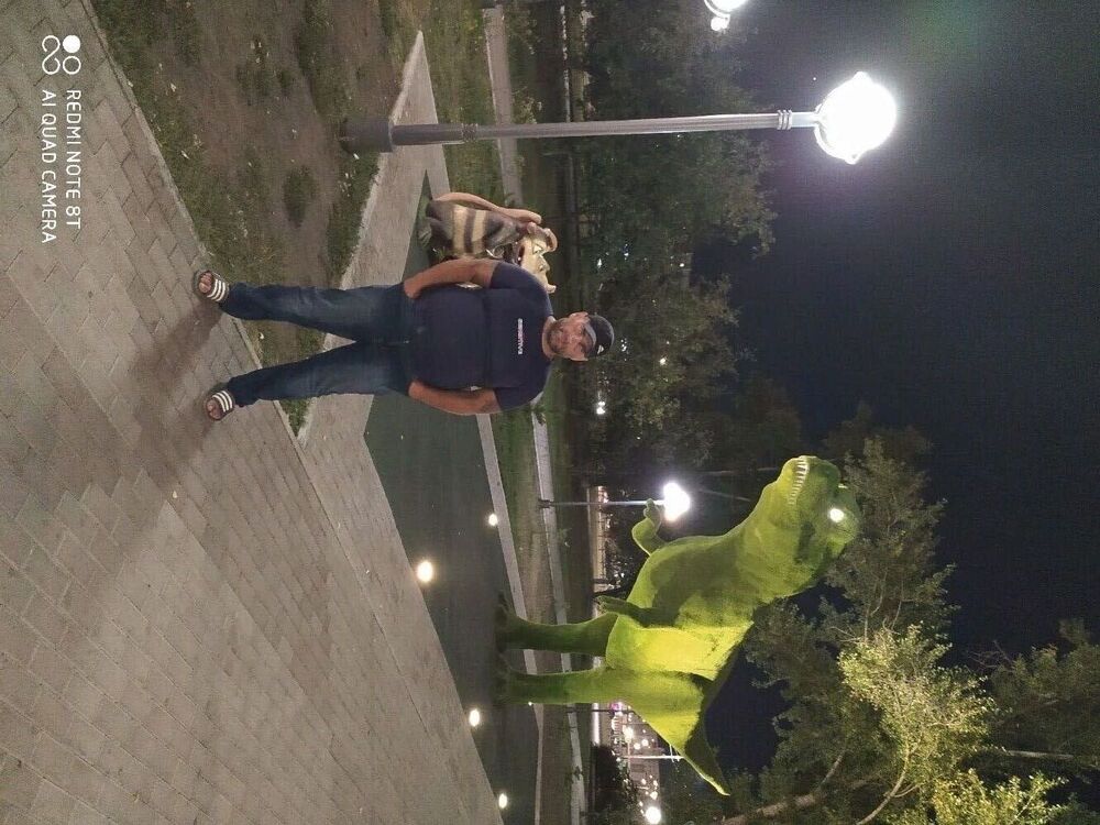  33355698  , 35 ,    