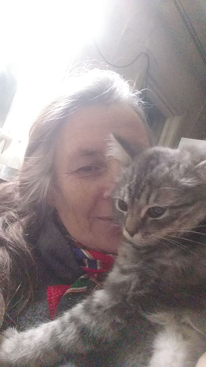 ���������� �����, ���� ������� �����, 63 ����, ������������ ��� ������, ����� � ���������, c�������� ���������, ���������